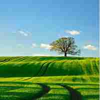 css设﻿计﻿工​具﻿